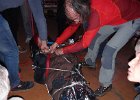 DSC08025