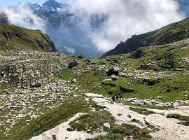IMG_1766