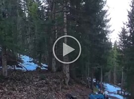 5395C080-8770-4FEF-A233-D9F5FD2D1C84