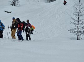 IMG-20260322-WA0050
