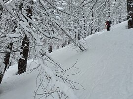 IMG-20260322-WA0058
