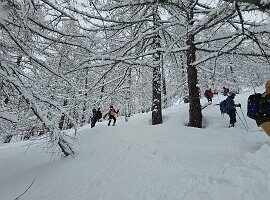 IMG-20260322-WA0087
