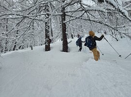 IMG-20260322-WA0092