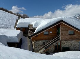 IMG_2360