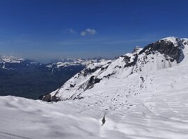 IMG-20260419-WA0004 1